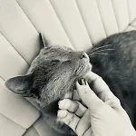 Neno Pyramid Wellness Retreat 3*