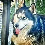 Neno Pyramid Wellness Retreat Visoko