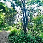 Neno Pyramid Wellness Retreat Aparthotel Visoko