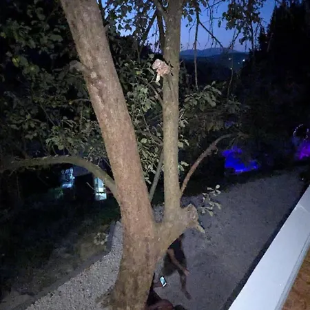 Lägenhetshotell Neno Pyramid Wellness Retreat Visoko