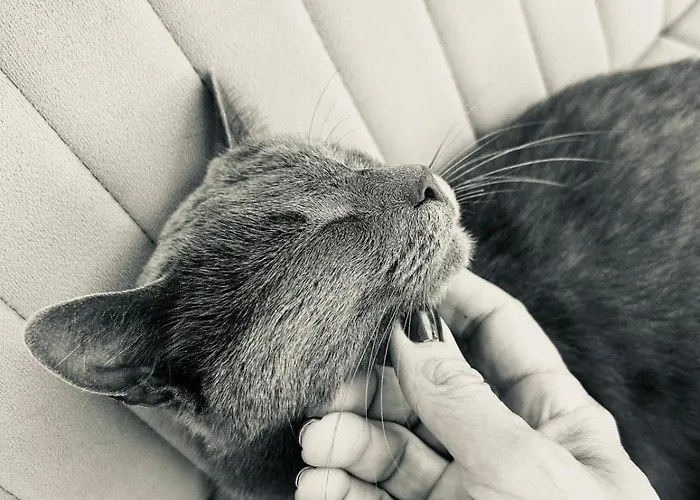 Neno Pyramid Wellness Retreat 3*