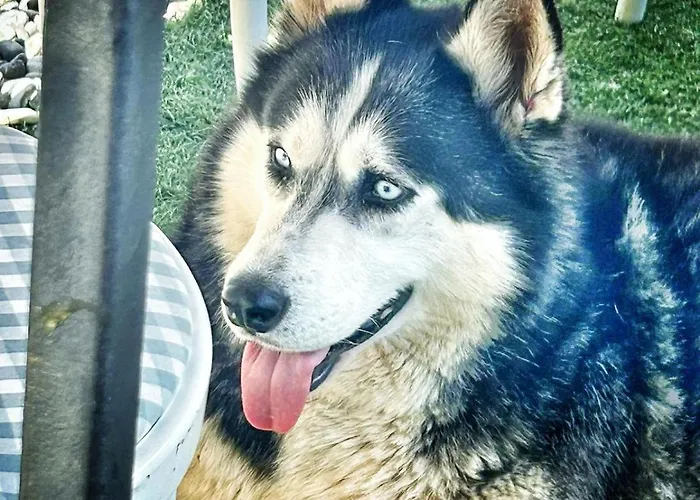 Neno Pyramid Wellness Retreat Visoko