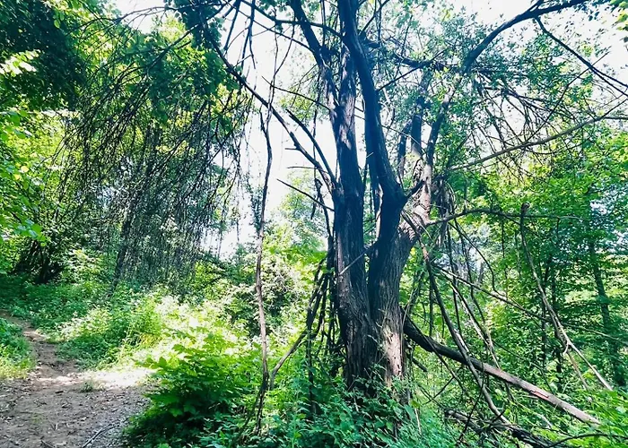 Neno Pyramid Wellness Retreat Aparthotel Visoko